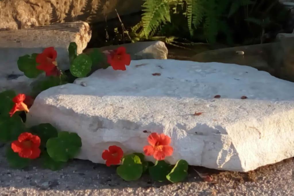 Holiday home Cosy With Breathtaking View Gaios